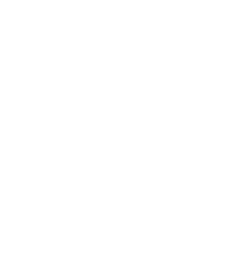 Shape Overlay